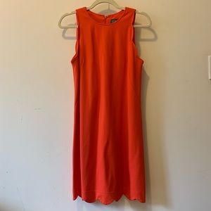 Scalloped Vince Camuto Dress